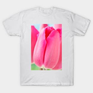 Tulipa  'Barcelona'  AGM  Tulip  Triumph Group T-Shirt